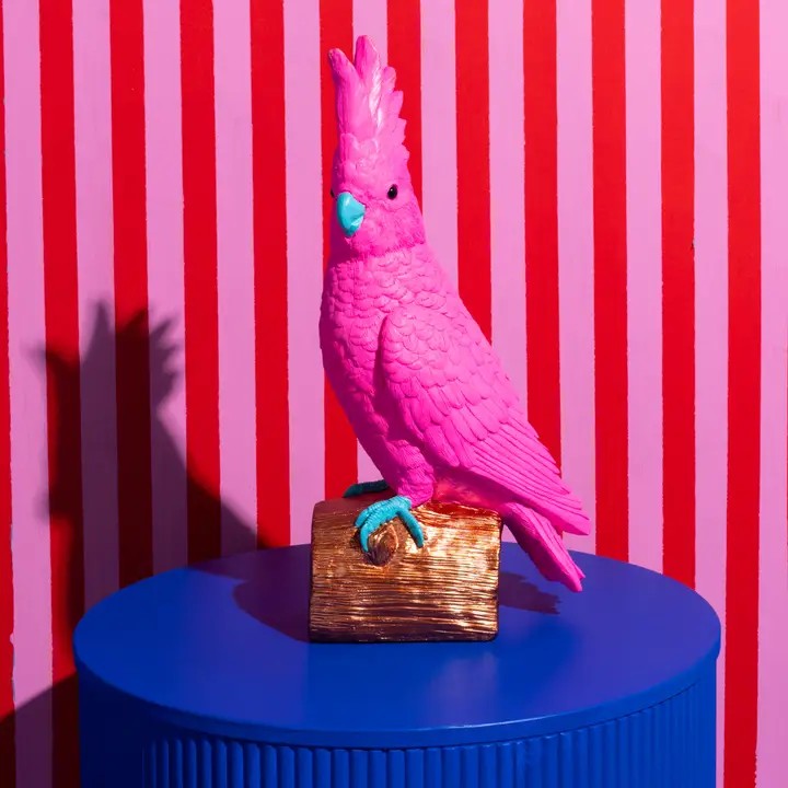 Pablo the Parrot