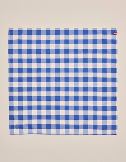 Parachilna Bandana mid blue check