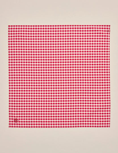 Napier Bandana - red